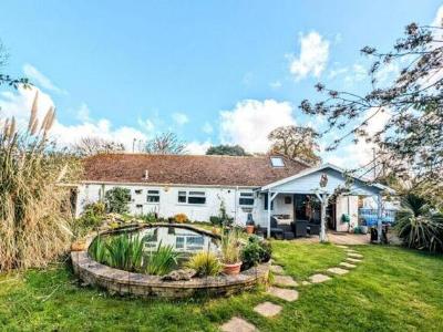 Bullockstone Road - Garden, Detached