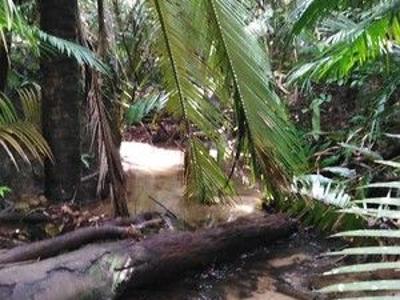 Lot 213 Kelly Road - Near River, Land