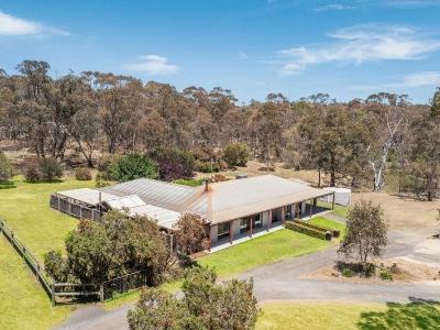 25 Scotts Crescent - Garden