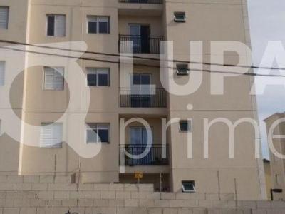 220,R Manoel Salgado