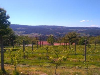 Chalet en Venta en A Estrada - Casa