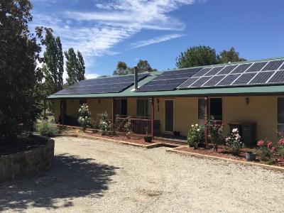 Park View Ave, Portland, NSW - Garden