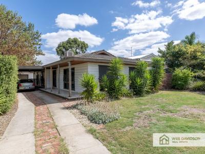 39 Alexander Avenue, HORSHAM - Garden