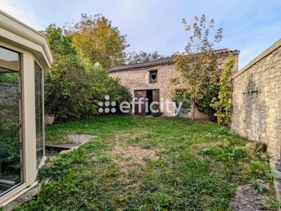 Savignac-les-Églises, Dordogne - Jardin