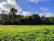 Prignac-en-Medoc - Terrain