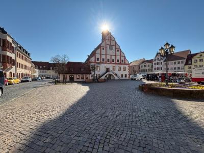 Haus zum Kauf in Grimma - Balkon