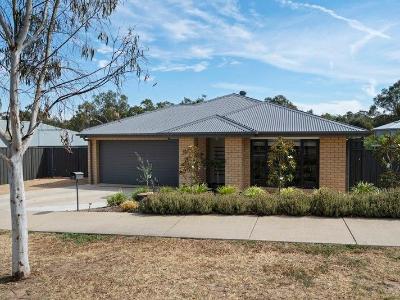 7 Banksia Street - Garden