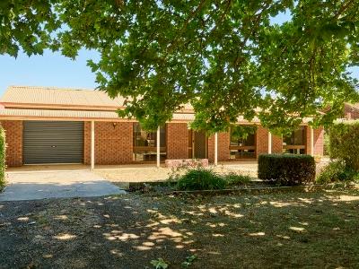 26 Chauncey Street - Garden
