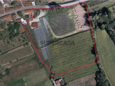 Casa para comprar Coimbra - Quinta