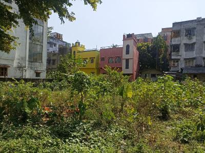 Baguihati Ac Market Kolkata-700059