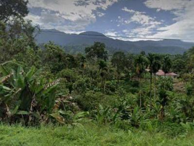 Pasaman Barat, Sumatera Barat