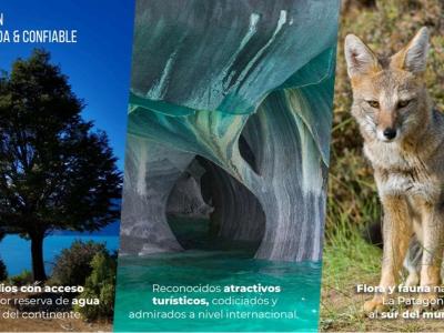 Collage showing a tree by the lake, the Marble Caves, and a Patagonian fox, highlighting the area's attractions.